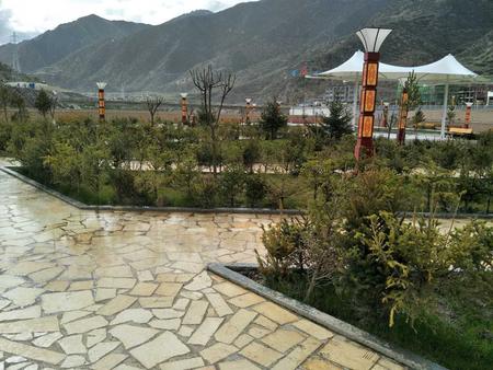 比如怒江島公園綠化景觀工程，藏北高海拔綠化工程，客戶滿意度百分百。