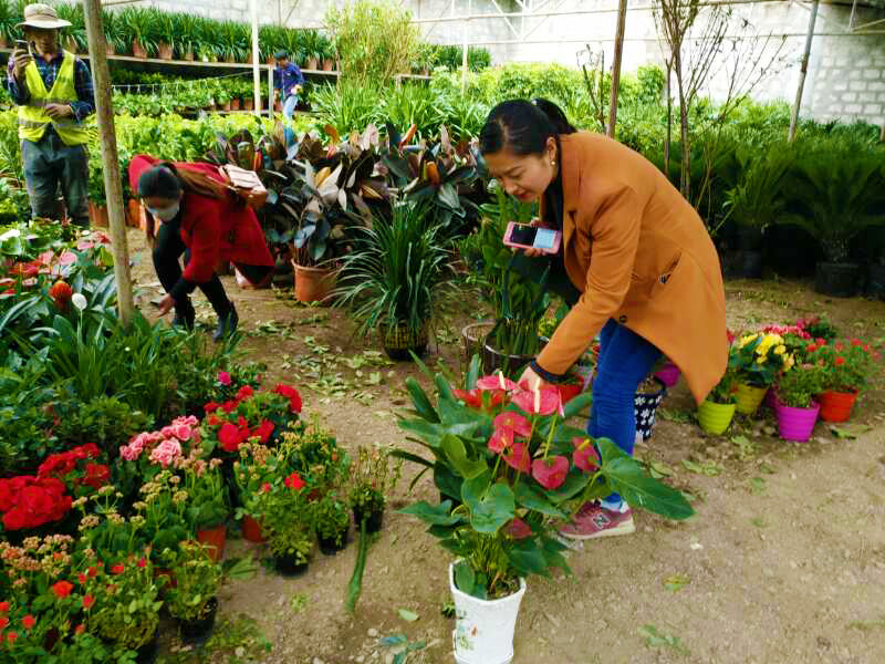 比如苗圃10.jpg